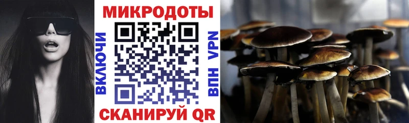 Галлюциногенные грибы Psilocybine cubensis  блэк спрут ссылка  Нижнеудинск 